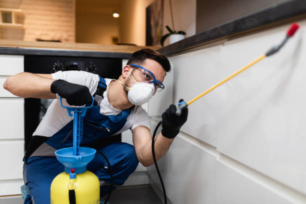Best Affordable Pest Control Services  in Lansing, IL
