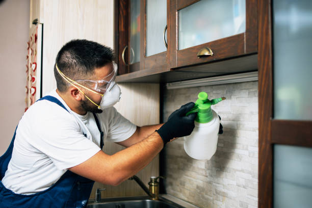 Best Cockroach Control Services  in Lansing, IL