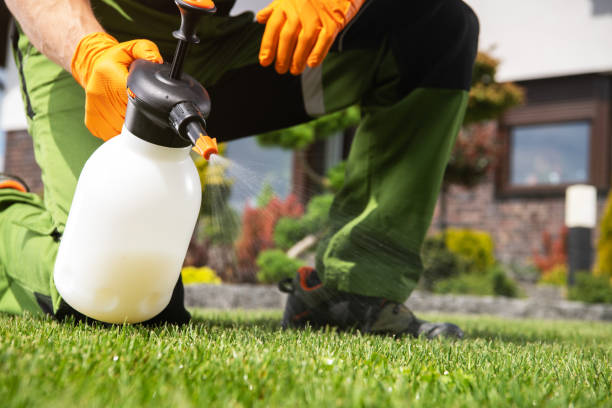 Best Exterminator Services  in Lansing, IL