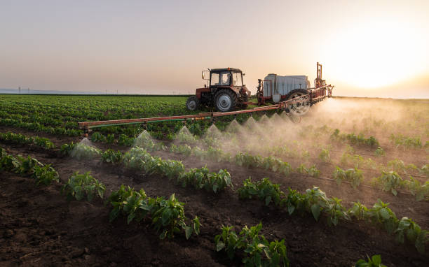 Reliable Lansing, IL Pest Control Solutions