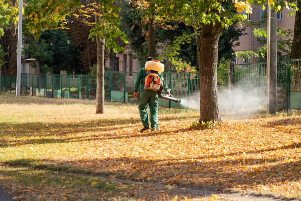 Best Affordable Pest Control Services  in Lansing, IL