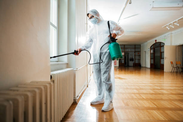 Pest Control for Restaurants in Lansing, IL